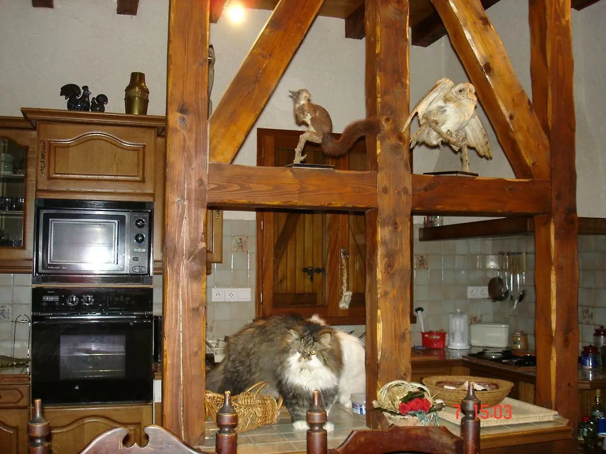 Gite Vallee Des Nestes Bareilles 0*,